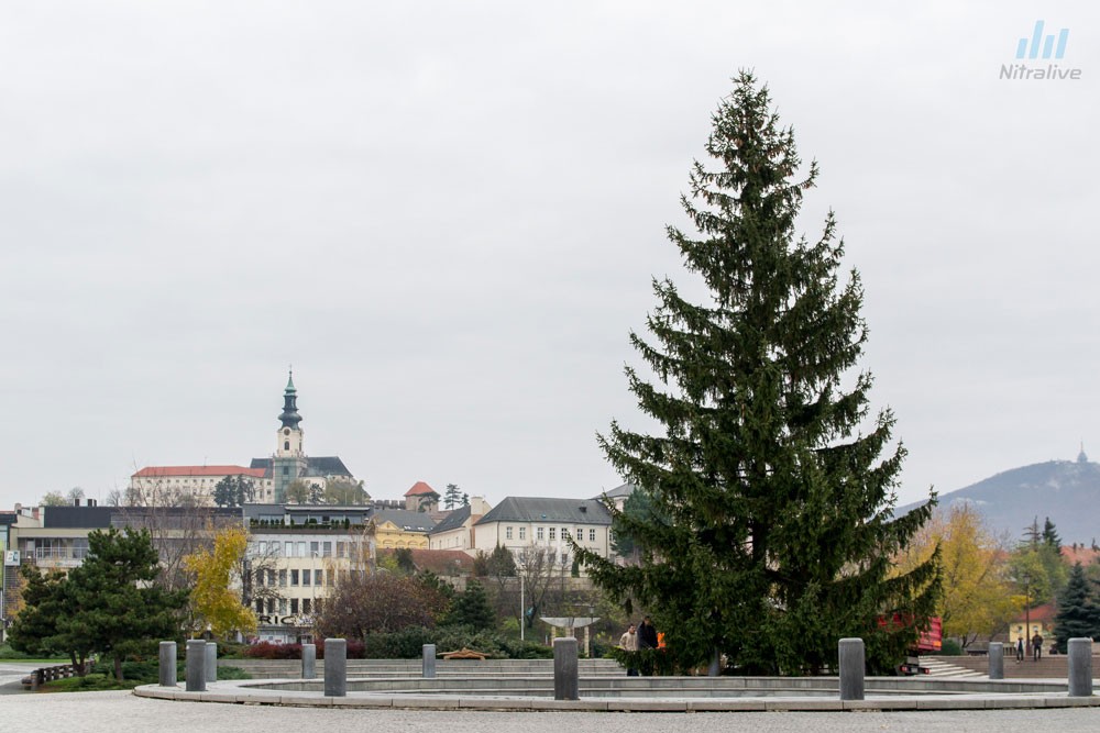 Vianočný stromček Nitra 2013