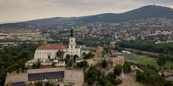 Komunálne voľby, kandidáti