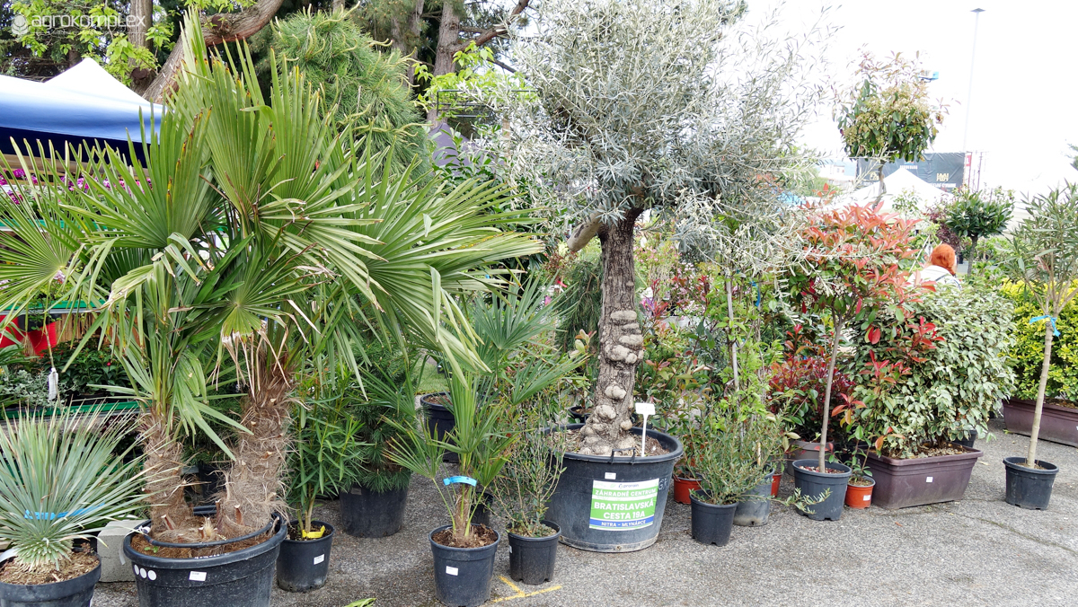 Nábytok a bývanie Nitra