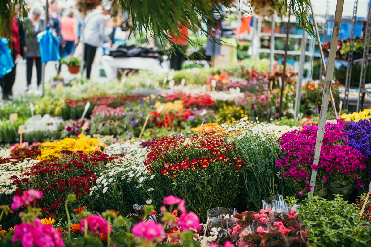 Nábytok a bývanie Nitra