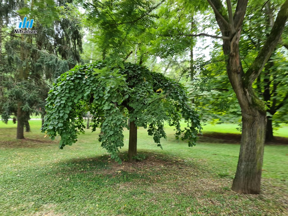 Nový park na Sihoti
