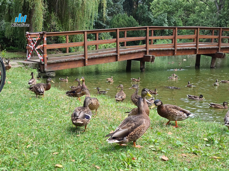 Nový park na Sihoti