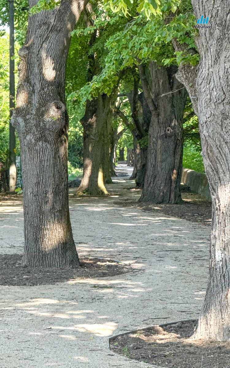 Cyklotrasa prepoj - Krškany, Nitra pri starom mlyne