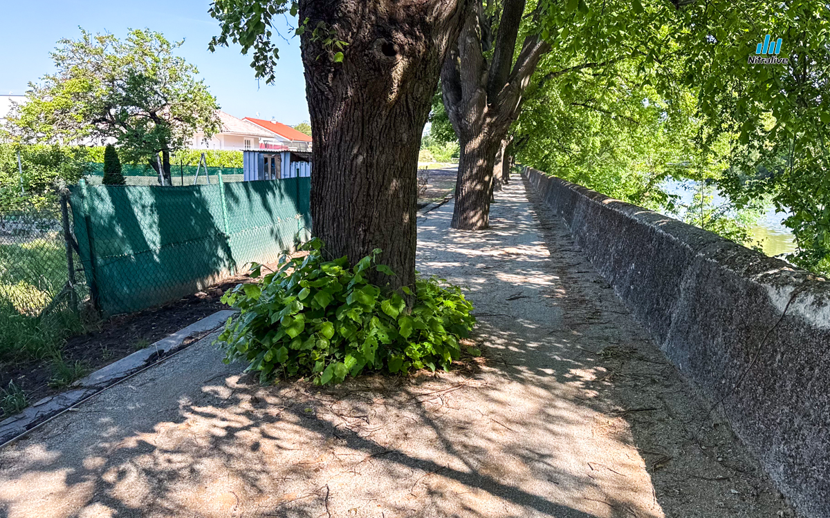 Cyklotrasa prepoj - Krškany, Nitra pri starom mlyne