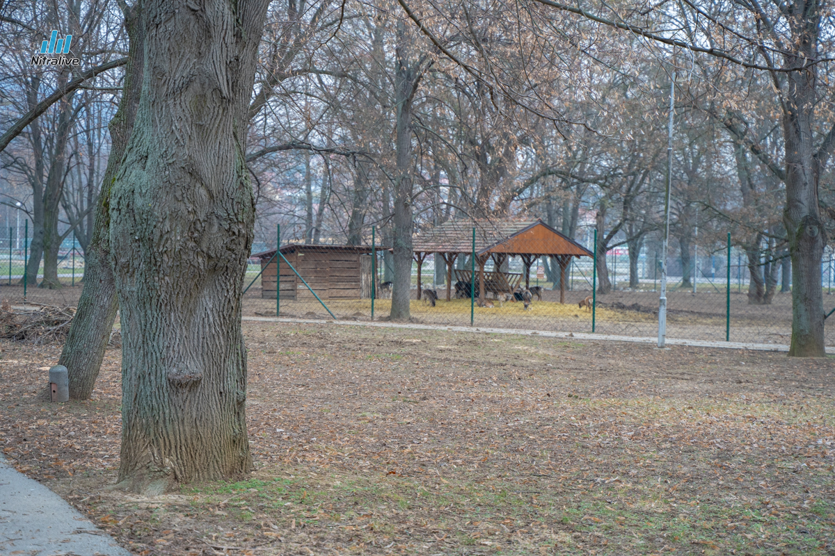 Starý park Sihoť Nitra, revitalizácia